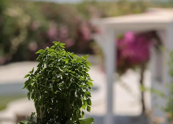 Apartmán Salty 2br Sea View Naxos - Glyfada