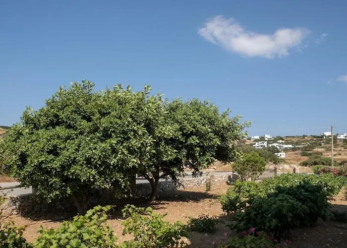 Salty 2br Sea View Naxos - Glyfada Apartmán Naxos City