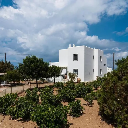 Lägenhet Salty 2br Sea View Naxos - Glyfada