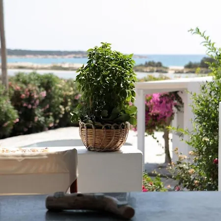 Salty 2br Sea View Naxos - Glyfada Naxos City
