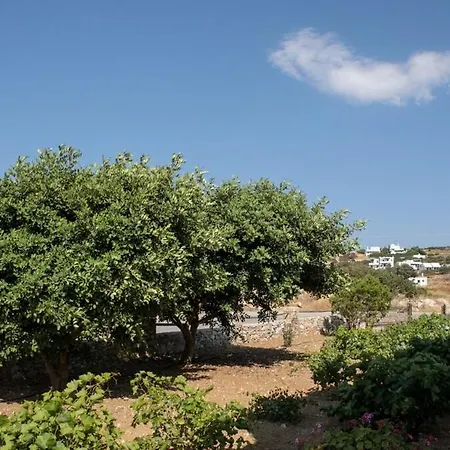 Salty 2br Sea View Naxos - Glyfada アパート Kastrákion