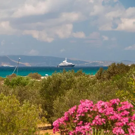 Salty 2br Sea View Naxos - Glyfada Naxos City