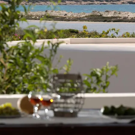 Salty 2br Sea View Naxos - Glyfada Lägenhet *